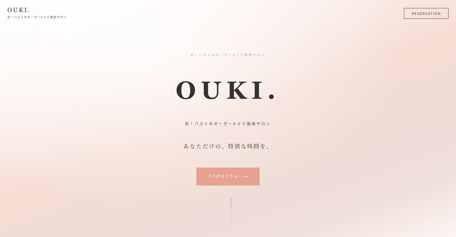 OUKI.エステLPのファーストビュー